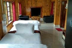 dovipie inn 1