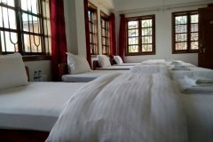dovipie inn 3